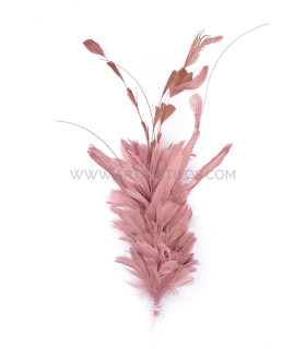 Feathers Mounts Of Rooster, Duck And Goose Old Pink - hats
