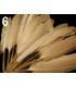 BOLSA 20 PLUMAS DE PATO 9-14 CMS.