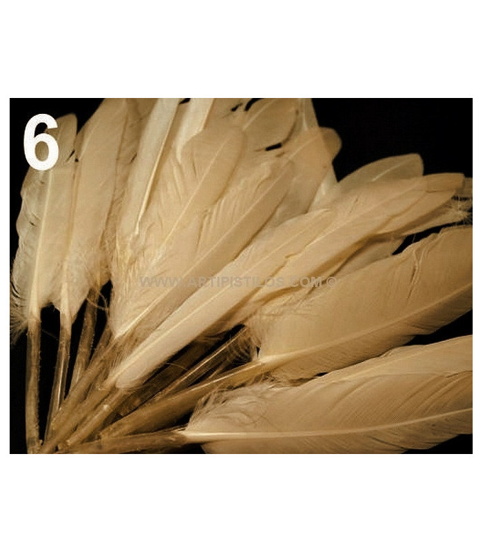 BOLSA 20 PLUMAS DE PATO 9-14 CMS.