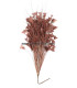 MONTAJE DE PLUMAS GALLO/AVESTRUZ 30 X 15 cm