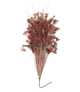Triangle Tipped Stripped Coque & Burnt Peacock Feather Mount 30 X 15 Cm Nude