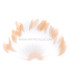 FEATHERS MOUNT 20/25 cm