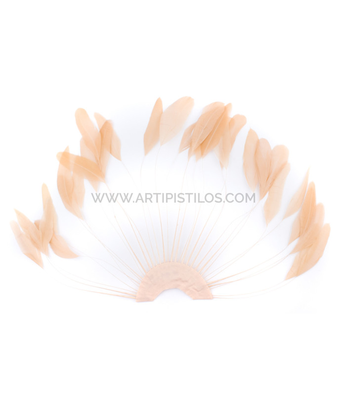 FEATHERS MOUNT 20/25 cm