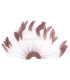 FEATHERS MOUNT 20/25 cm