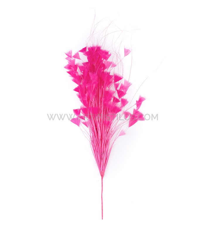 MONTAJE DE PLUMAS GALLO/AVESTRUZ 30 X 15 cm