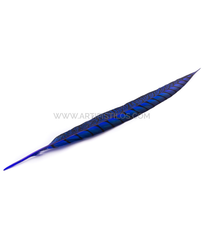 PHEASANT FEATHER LADY AMHERST 40-45 CMS.