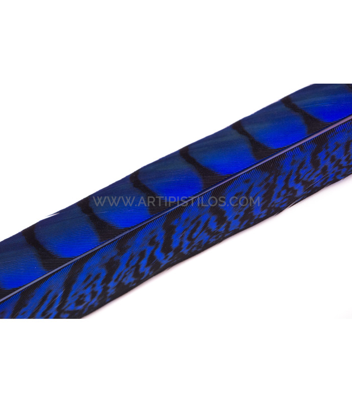 PHEASANT FEATHER LADY AMHERST 40-45 CMS.