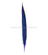 PLUMA FAISAN LADY AMHERST 40-45 CMS.