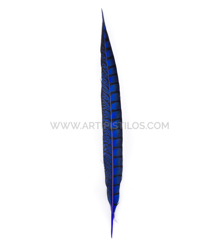 PHEASANT FEATHER LADY AMHERST 40-45 CMS.