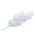 OSTRICH FEATHER FIRST QUALITY 50-55 CMS.