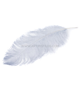 Ostrich Feather First Quality 50-55 Cms. - color