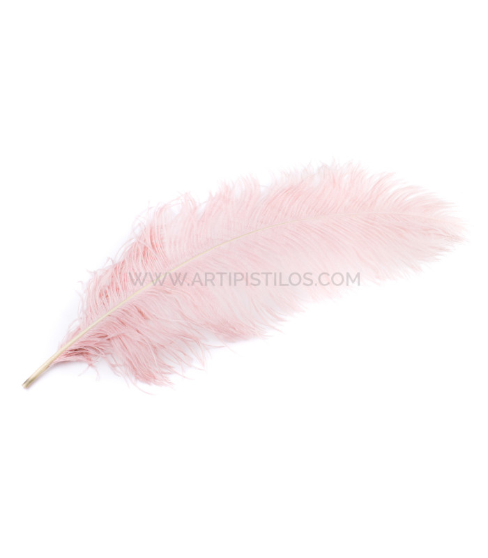OSTRICH FEATHER FIRST QUALITY 50-55 CMS.