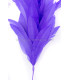 FEATHER MOUNT ROOSTER/OSTRICH/GOOSE