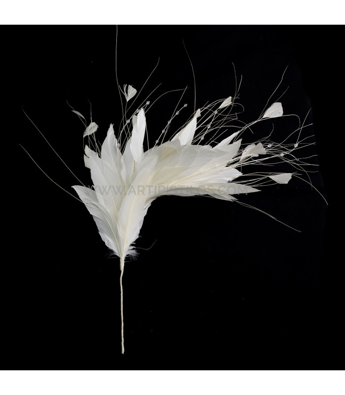 FEATHER MOUNT ROOSTER/OSTRICH/GOOSE