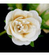 FABRIC FLOWER BOUQUET (6 PCS) "BREMEN"
