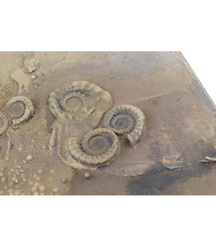 STONE ART - POWERTEX - LEVEL 2 (03/08/2019)