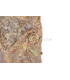 STONE ART - POWERTEX - LEVEL 2 (03/08/2019)