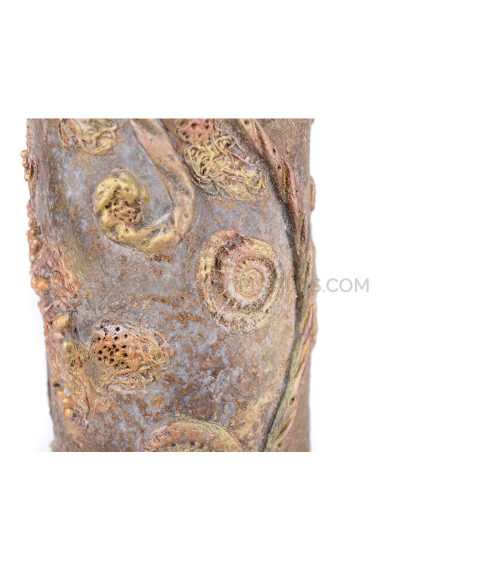 STONE ART - POWERTEX - NIVEL 2 (03/08/2019)