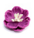 FLOR DE PELE "LEYRE"
