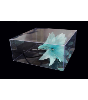Caja Acetato Cuadrada 23 X 23 X 10 Cm - tocados para - tocados para - tocados para - tocados para - tocados para - tocados para - cajas - cajas