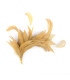 FEATHER MOUNT OF DUCK AND ROOSTER