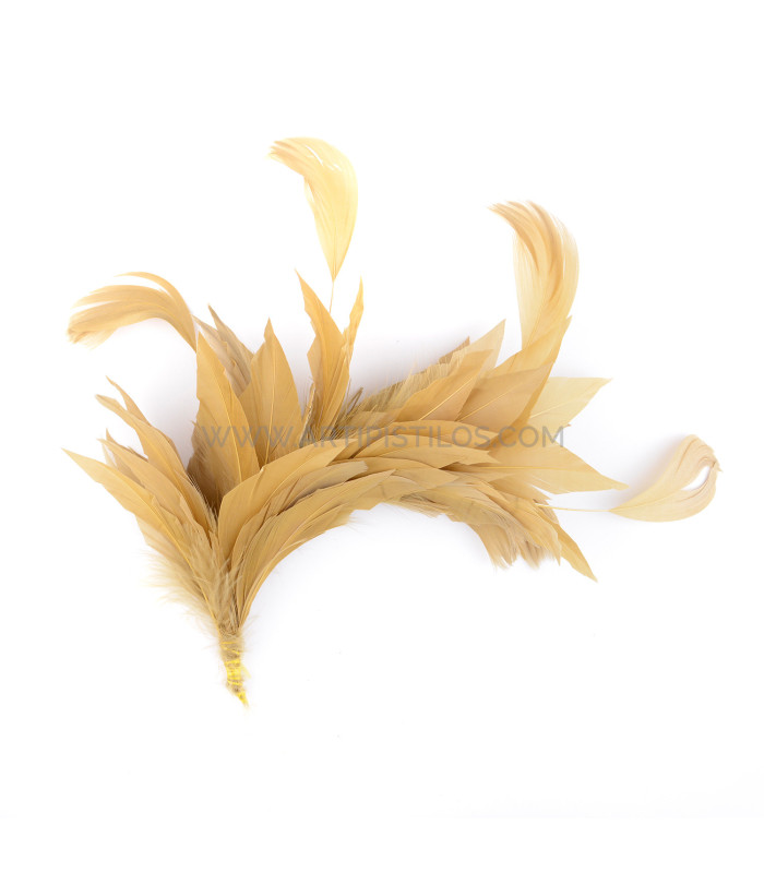 FEATHER MOUNT OF DUCK AND ROOSTER