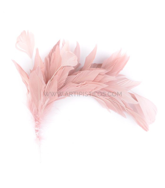MONTAJE DE PLUMAS DE PATO Y ANTENA DE GALLO