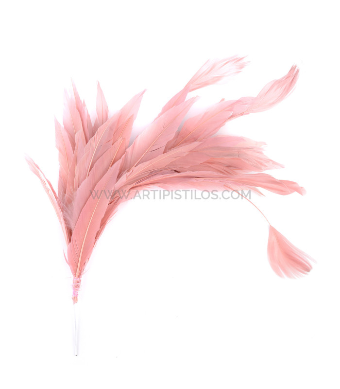 FEATHER MOUNT OF DUCK AND ROOSTER