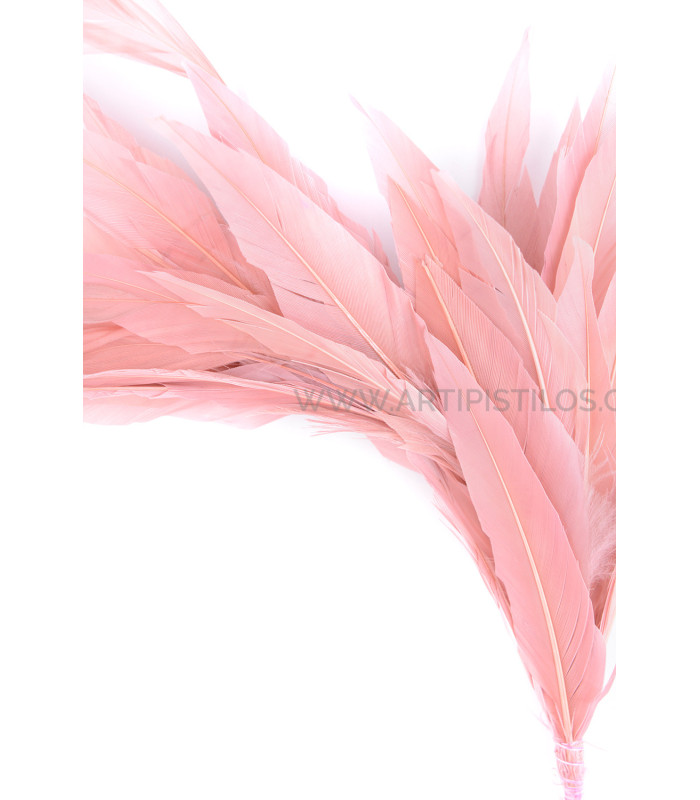 FEATHER MOUNT OF DUCK AND ROOSTER