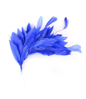 FEATHER MOUNT OF DUCK AND ROOSTER