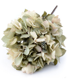 Hortensia De Tela "anaís" Verde - flores para decorar