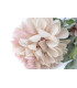 FABRIC DAHLIA "CATERINA"