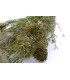 BUSH FABRIC "LAYLA"