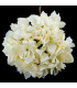 HYDRANGEA TECIDO "ANAIS"