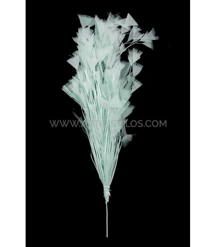 COCK FEATHER MOUNT