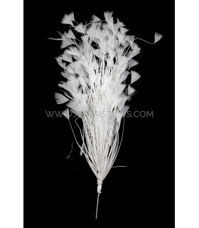Montagem De Penas De Galo Offwhite - pamelas