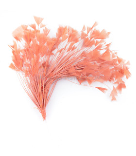 Montaje De Plumas De Gallo Coral - tocados para