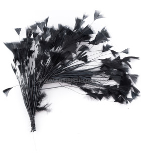 Montagem De Penas De Galo Preto - pamelas
