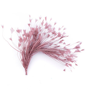 Rooster feather mount 35 x 9 cm