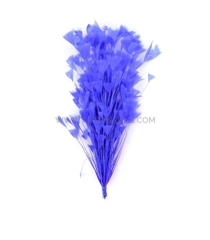 COCK FEATHER MOUNT