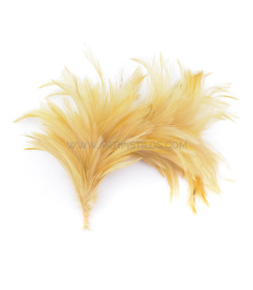 FEATHER MOUNT OF ROOSTER'S NECK