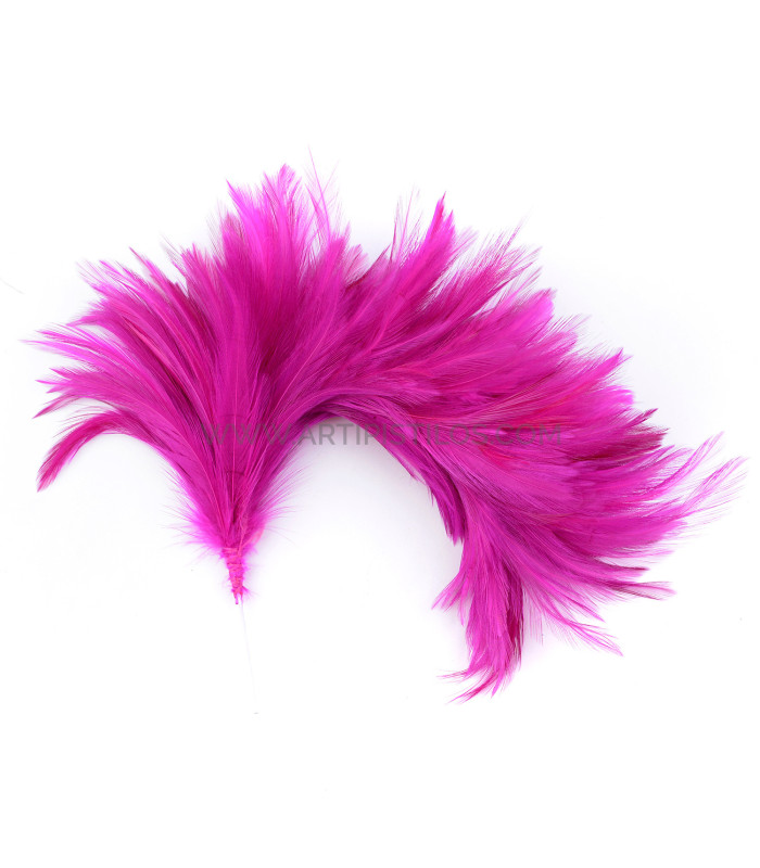 MONTAJE DE PLUMAS DE CUELLO DE GALLO