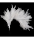 MONTAJE DE PLUMAS DE CUELLO DE GALLO