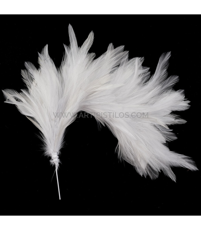 MONTAJE DE PLUMAS DE CUELLO DE GALLO