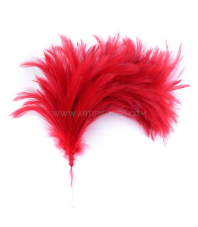Montagem De Penas De Pescoço De Galinha Vermelho - pamelas