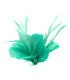 FEATHER MOUNT OF DUCK AND GOOSE BIOT