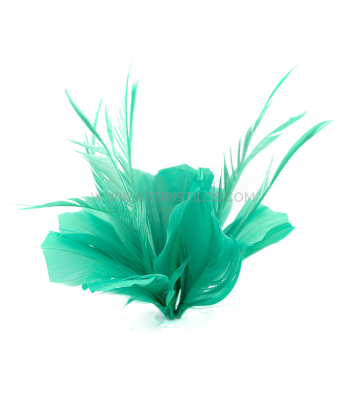 FEATHER MOUNT OF DUCK AND GOOSE BIOT