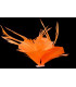 FEATHER MOUNT OF DUCK AND GOOSE BIOT