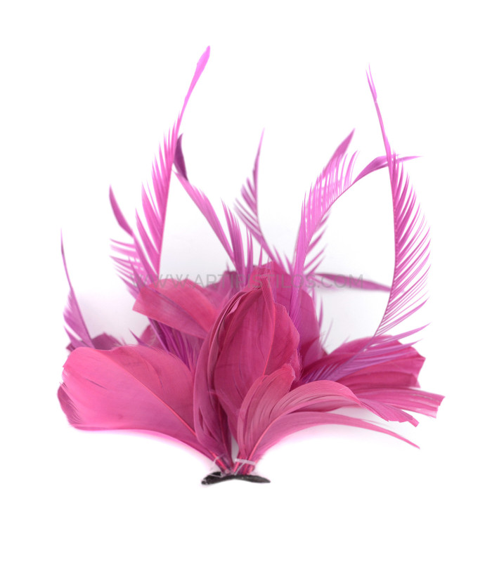 FEATHER MOUNT OF DUCK AND GOOSE BIOT