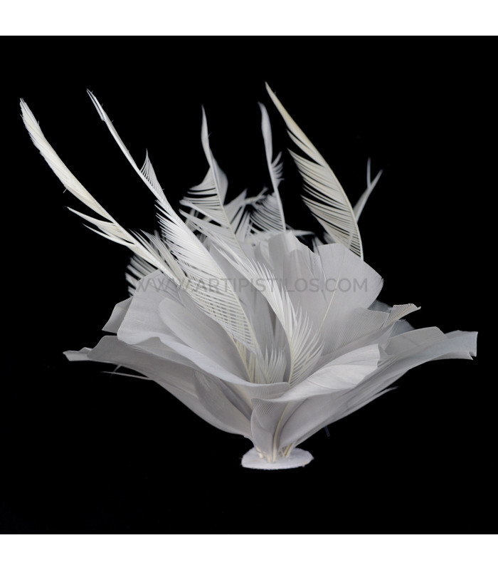FEATHER MOUNT OF DUCK AND GOOSE BIOT